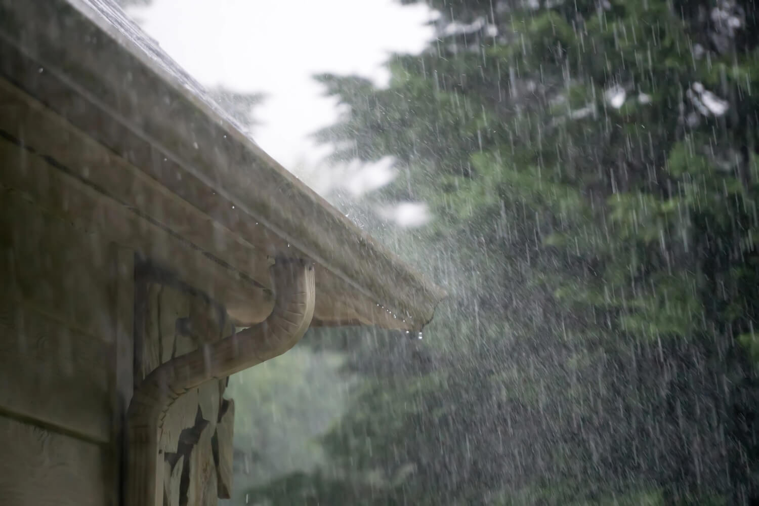 Gutter Maintenance You Should Be Doing For Your Home During Oregon's Rainy Season