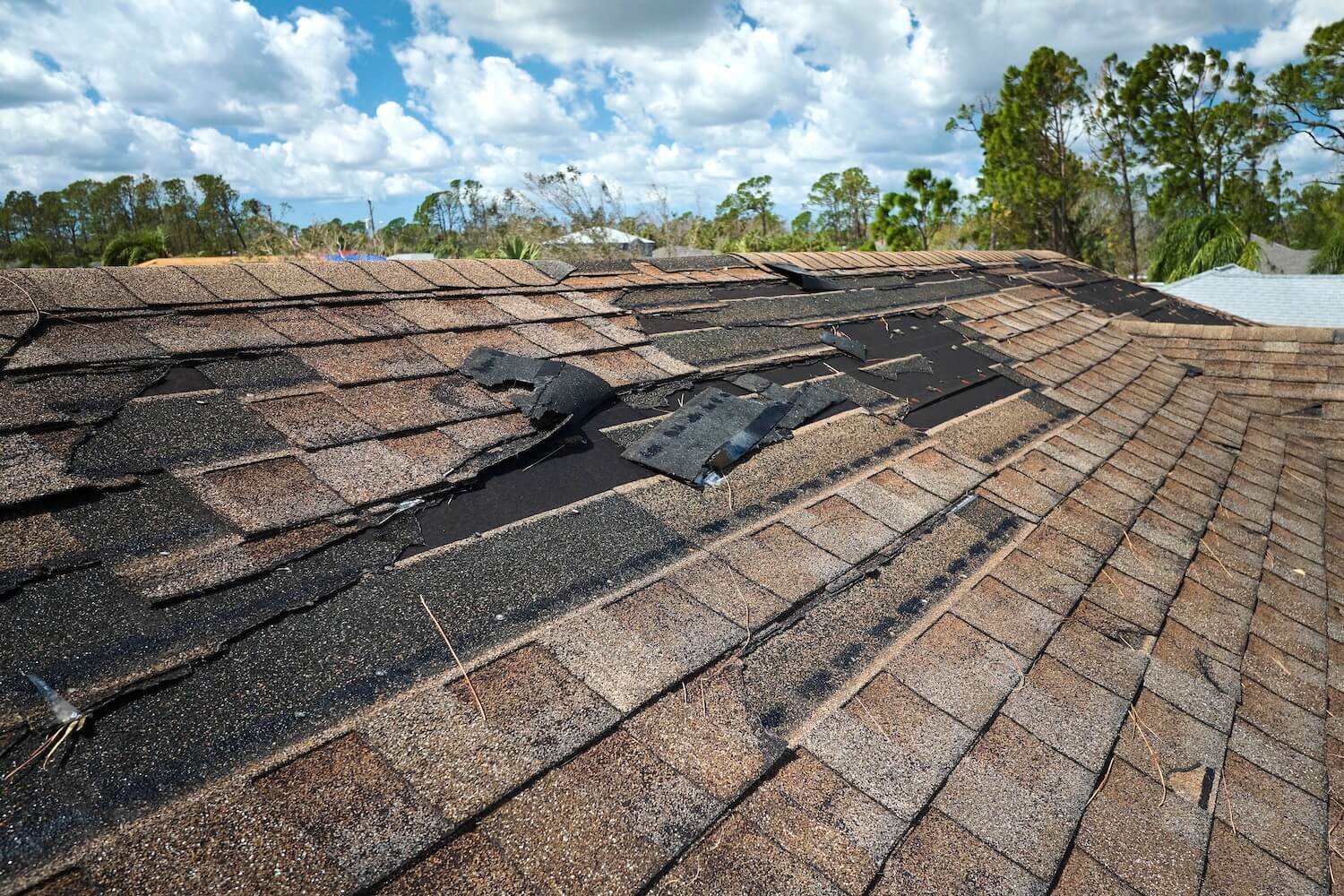 How The Changing Seasons In Eugene Or Can Accelerate Roof Wear And Tear Copy